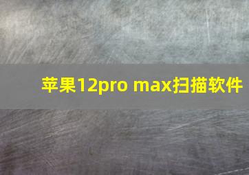 苹果12pro max扫描软件